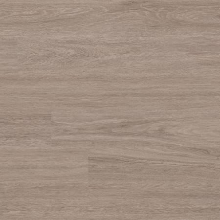 Bleached Elm