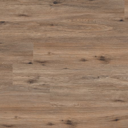 MSI Partola 7" X 48" x 5mm 12MIL Waterproof Rigid Core Luxury Vinyl Plank Flooring - Sold by Carton (23.77 SF/ Carton) Fauna