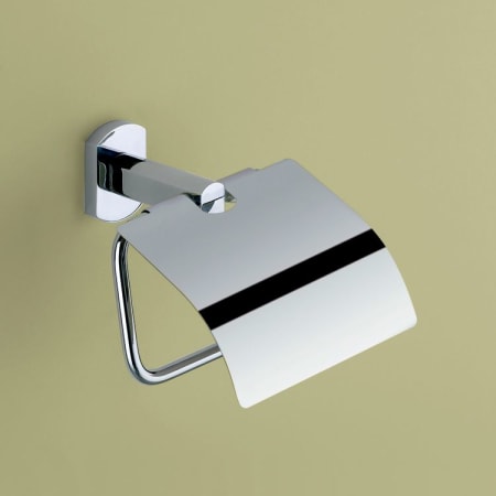 Polished Chrome