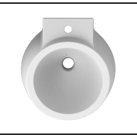 Alternate Image
