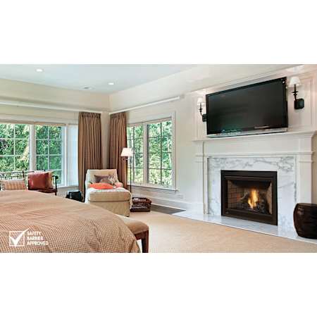 Napoleon Ascent 22,000 BTU Natural Gas Built In Fireplace with Millivolt Ignition System and Mesh Safety Barrier N/A