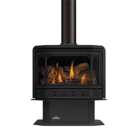 Napoleon 44000 BTU Free Standing Direct Vent Natural Gas Stove with Safety Barrier and Millivolt Ignition Black