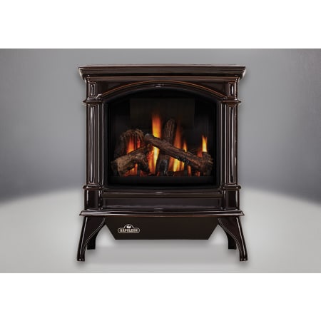 Napoleon 35000 BTU Free Standing Direct Vent Natural Gas Stove with Safety Barrier and Electronic Ignition from the Knightsbridge Series Porcelain Majolica Brown