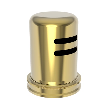 Polished Gold (PVD)
