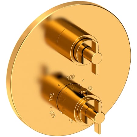 Newport Brass Tolmin Thermostatic Valve Trim Only with 2 Lever Handles - Less Rough In Aged Brass