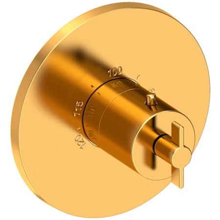 Newport Brass Tolmin Thermostatic Valve Trim Only with 1 Cross Handles - Less Rough In Aged Brass