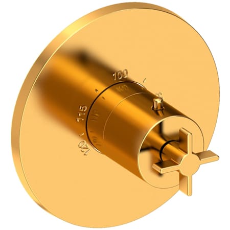 Newport Brass Tolmin Thermostatic Valve Trim Only with 1 Cross Handles - Less Rough In Aged Brass