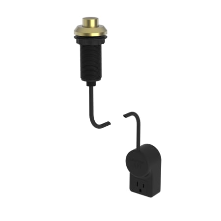 Satin Brass (PVD)