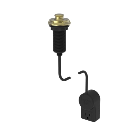 Satin Brass (PVD)