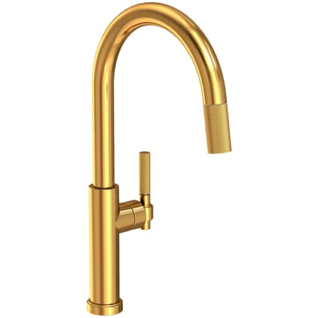 Newport Brass Muncy 1.8 GPM Single Hole Pull Down Kitchen Faucet with Arced Spout Aged Brass