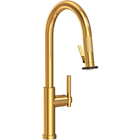 Newport Brass Muncy 1.8 GPM Single Hole Pull Down Kitchen Faucet with Knurled Lever Handle Aged Brass