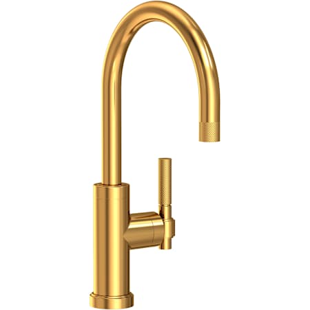 Newport Brass Muncy 1.8 GPM Single Hole Bar Faucet with Knurled Lever Handle Aged Brass