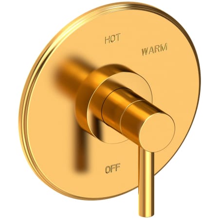 Newport Brass East Linear Collection Single Handle Round Pressure Balanced Shower Trim Plate Only with Metal Lever Handle Aged Brass