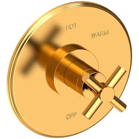 Newport Brass East Linear Collection Single Handle Round Pressure Balanced Shower Trim Plate Only with Metal Cross Handle Aged Brass