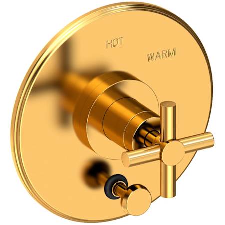 Newport Brass East Linear Balanced Pressure Tub & Shower Diverter Plate Aged Brass
