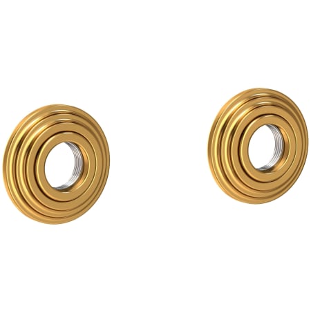 Newport Brass Astor Grab Bar Decorative Rings and Mounting Kit Aged Brass