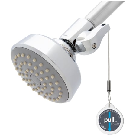 Niagara Conservation Evolve 1.25 GPM Single Function Shower Head with Thermostatic Valve Chrome
