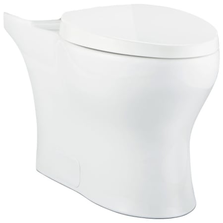 Niagara Conservation Phantom Elongated Chair Height Toilet Bowl Only - Less Seat White