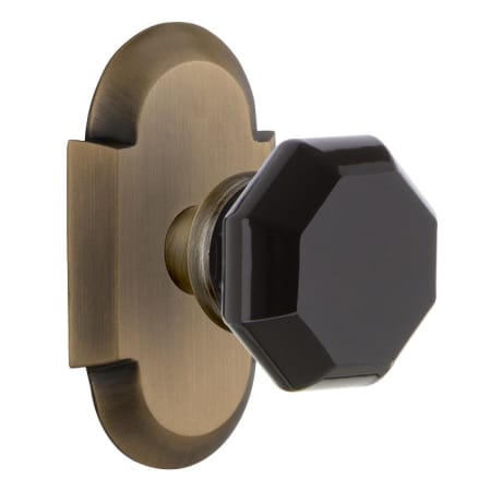 Nostalgic Warehouse Cottage Solid Brass Rose Privacy Door Knob Set with Black Waldorf Knob and 2-3/8" Backset Antique Brass