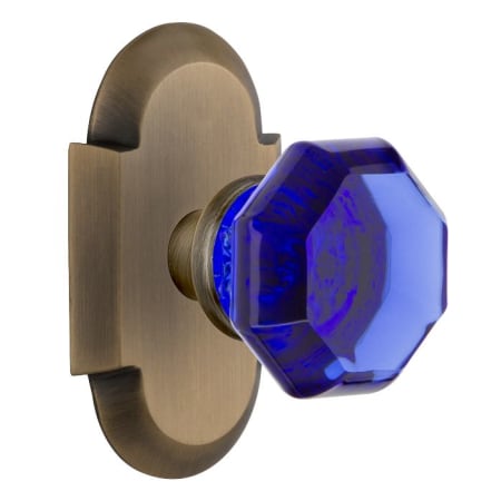 Nostalgic Warehouse Cottage Solid Brass Rose Privacy Door Knob Set with Cobalt Waldorf Knob and 2-3/4" Backset Antique Brass