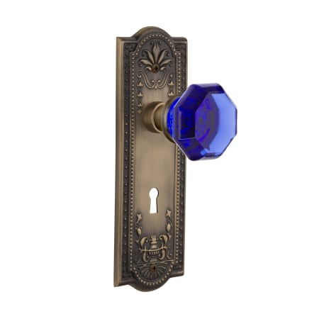 Nostalgic Warehouse Meadows Solid Brass Rose Vintage Retrofit Entry Door Knob Set with Cobalt Waldorf Door Knob and Skeleton Key Antique Brass