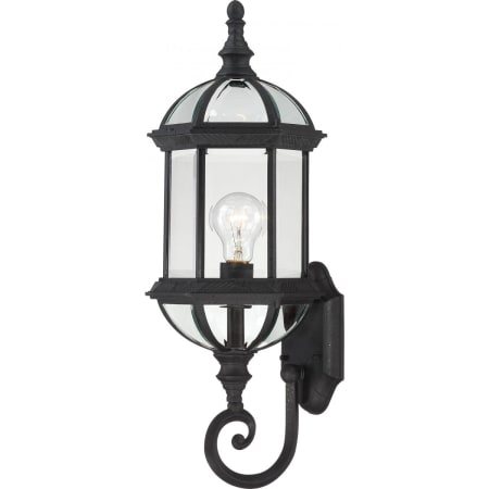 Nuvo Lighting Boxwood Single Light 22" Tall Outdoor Wall Sconce with Clear Glass Shade - ADA Compliant Textured Black