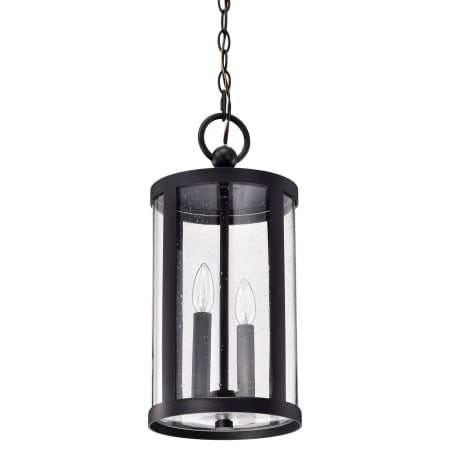 Nuvo Lighting Broadstone 2 Light 9" Wide Outdoor Mini Pendant Matte Black