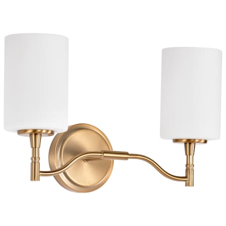 Nuvo Lighting Liam 2 Light 16" Wide Vanity Light Burnished Brass