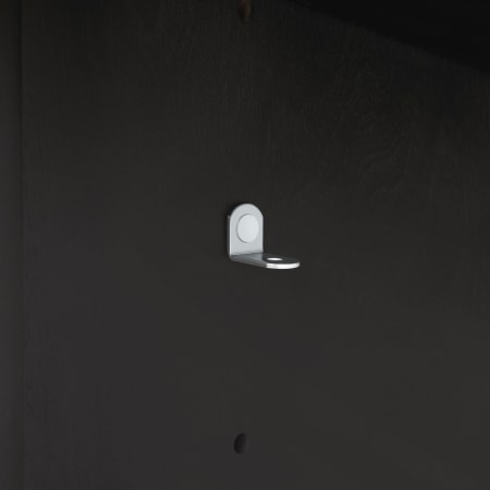 Alternate Image