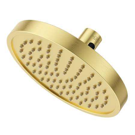 Pfister Contempra 1.75 GPM Single Function Rain Shower Head Brushed Gold