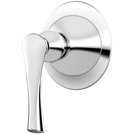 Polished Chrome