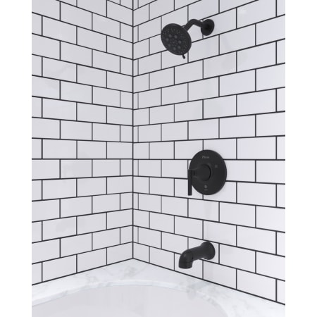 Alternate Image