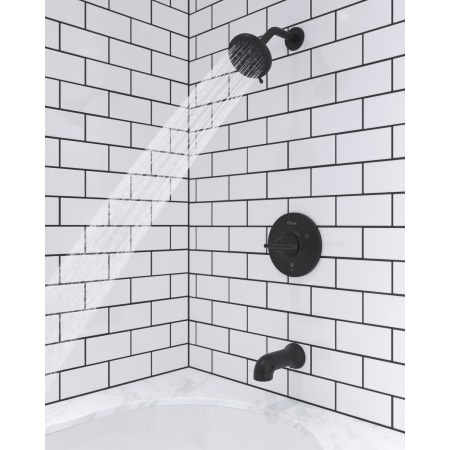 Alternate Image