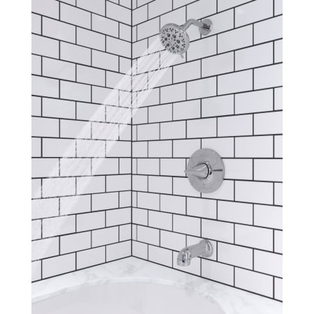 Alternate Image