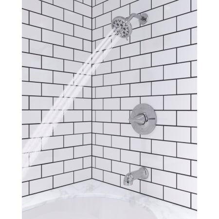 Alternate Image