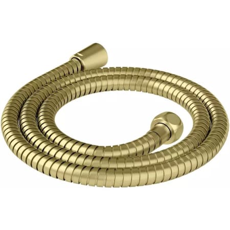 Pfister Genuine 60" Replacement Metal Shower Hose Brushed Gold