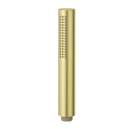 Pfister Modern Round 1.75 GPM Single Function Hand Shower Brushed Gold
