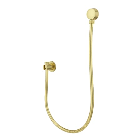 Pfister Modern Round 3-piece Handshower Holder Brushed Gold