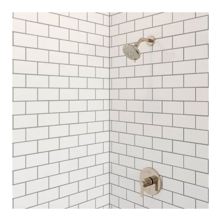 Alternate Image