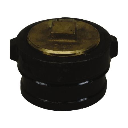 PROFLO 3 No-Hub IB Cleanout with 2-1/2" Raised Head Plug N/A