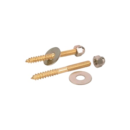 PROFLO Brass Closet Screws N/A