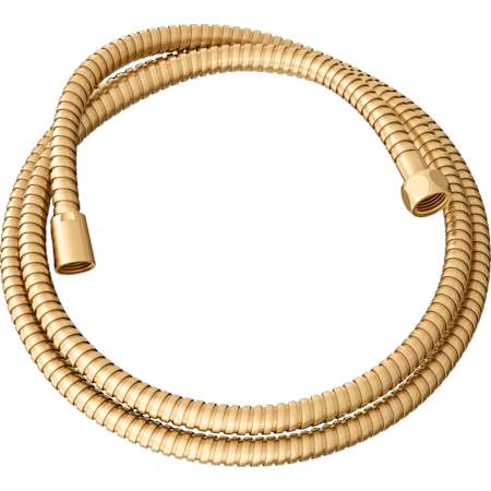 PROFLO Metal Shower Hose Brushed Gold