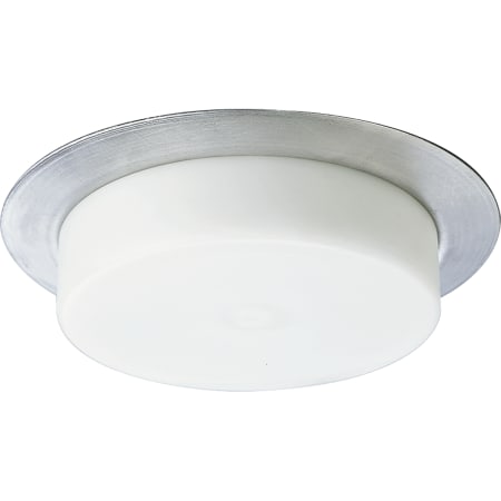 Progress Lighting 5" Shower Trim with Opal Glass for PAR30, R20, or A19 Lamps Satin Aluminum
