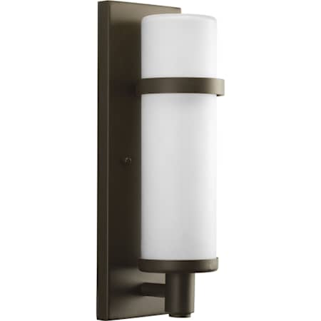 Progress Lighting Township 18" Tall 2 Light Outdoor Wall Sconce with Lantern Shade Antique Bronze