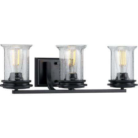 Progress Lighting Winslett 3 Light 24" Wide Bathroom Vanity Light Matte Black