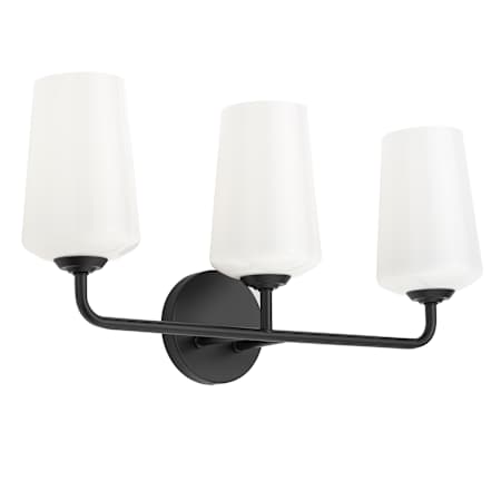 Progress Lighting Celino 3 Light 23" Wide Vanity Light with White Glass Black