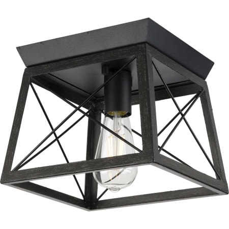 Progress Lighting Briarwood 10" Wide Flush Mount Ceiling Fixture Textured Black