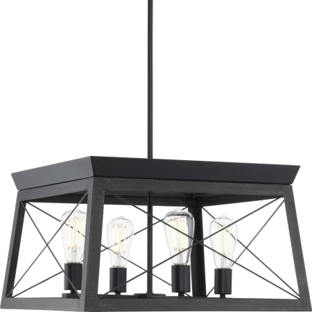 Progress Lighting Briarwood 4 Light 20" Wide Chandelier Textured Black