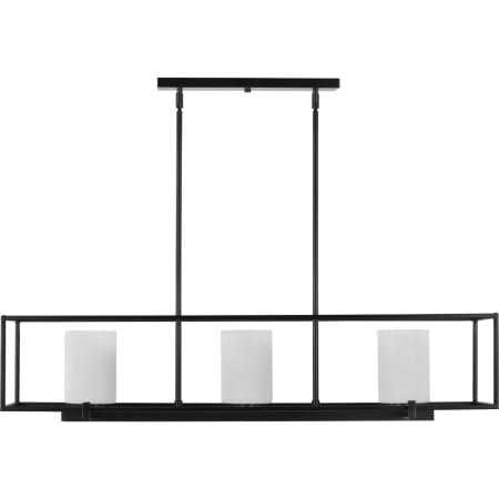Alternate View