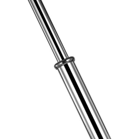 Alternate View